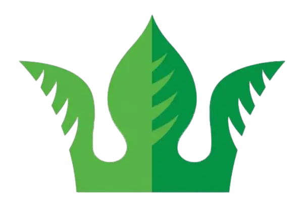 تبومیک TEBUMIC